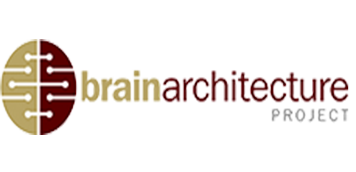 brainarchitecture